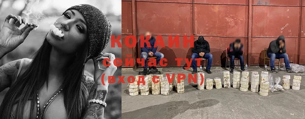 шишки Балахна